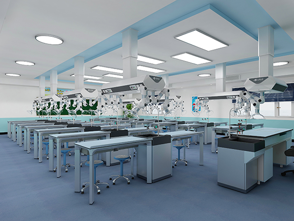 ���W(xu��)�����